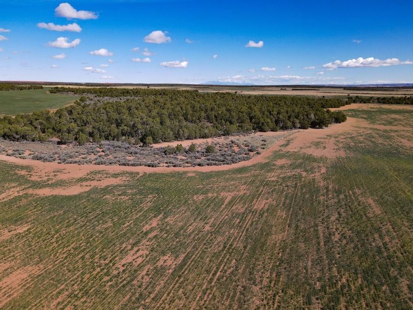 DJI_0102