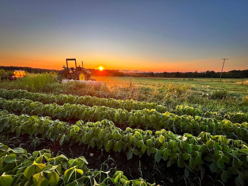 Copy of Wood Main Listing Photo 3