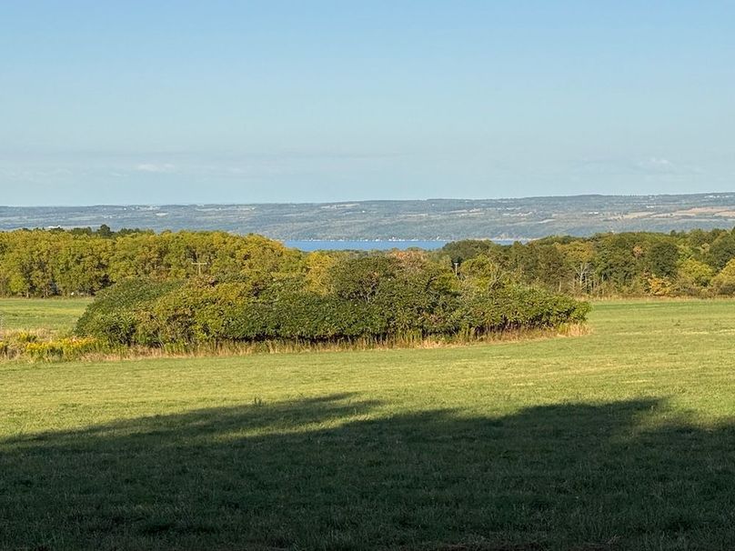 Copy of Wood Tract 6 Photo 4