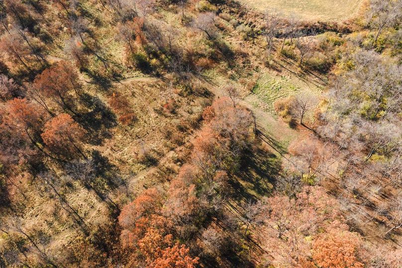 DJI_20251116124852_0177_D