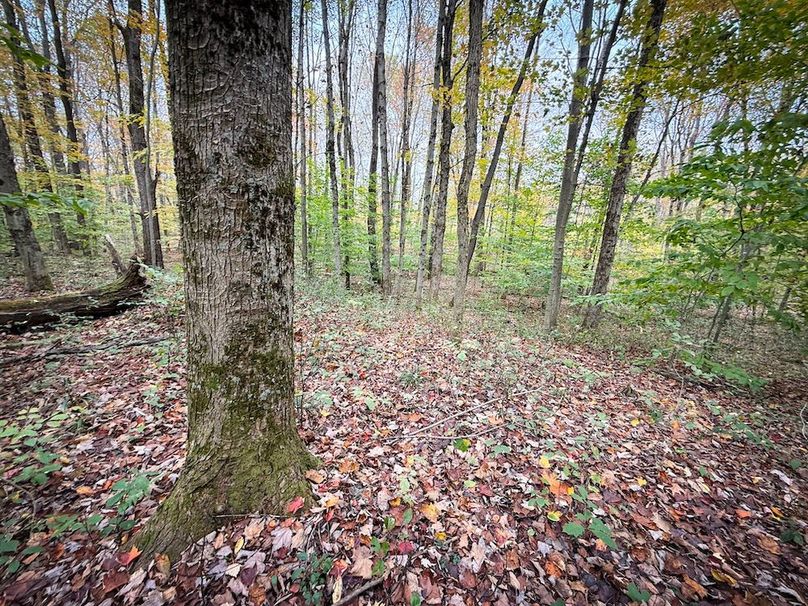 Oswego NY 6.68 Photos 37