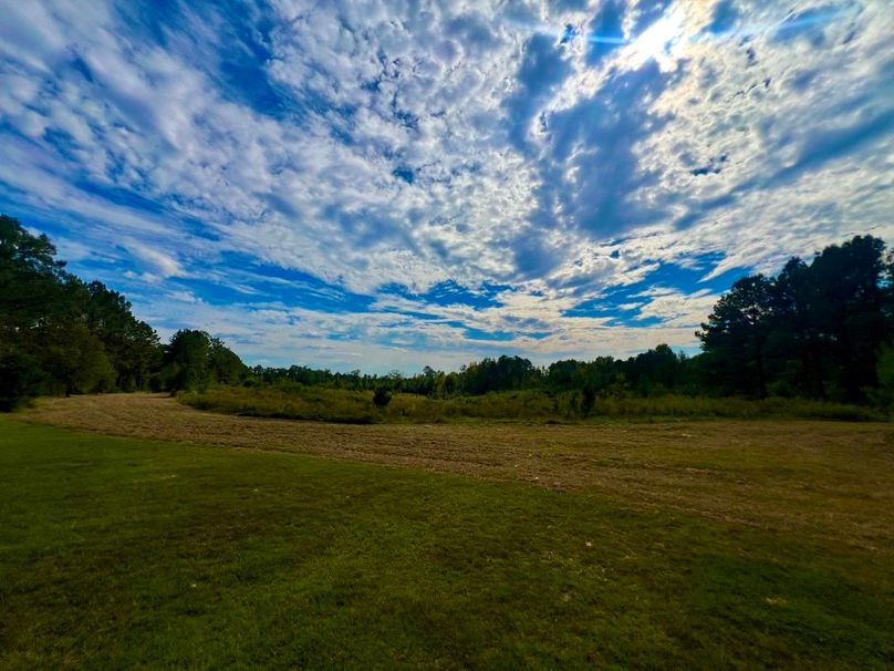 EBE1FFA6-5B9D-4E68-83BE-21CA4D299F38_1_201_a