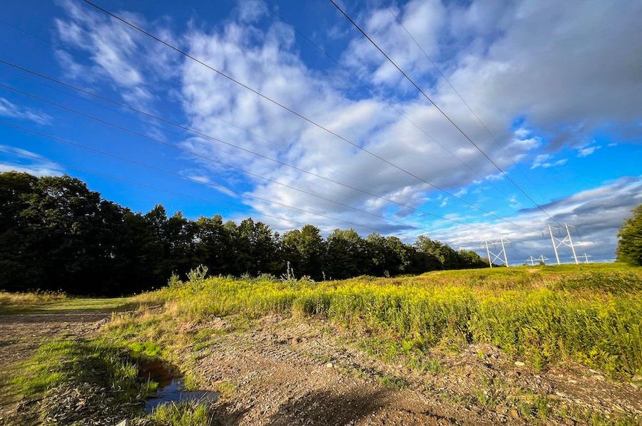 Chemung_140.13_Baumunk_Photos_6