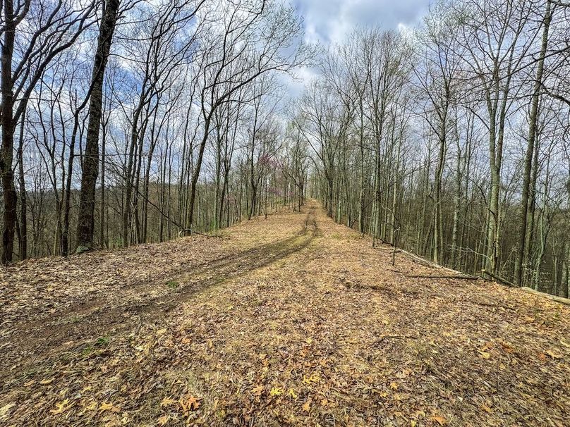 Ritchie, WV 206.08 AC Curriden-49