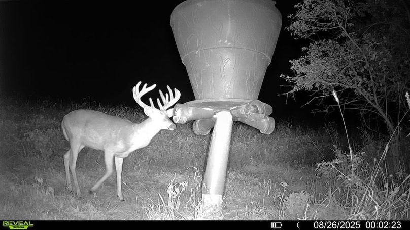 016579001744932-37-3-08262025000223-V-SYFW03523