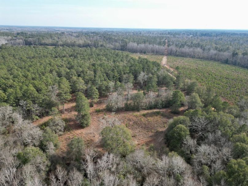 dji_fly_20260203_142834_672_1770146688916_photo