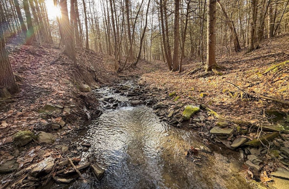 Chemung_59.65_Kocsis_photos_1