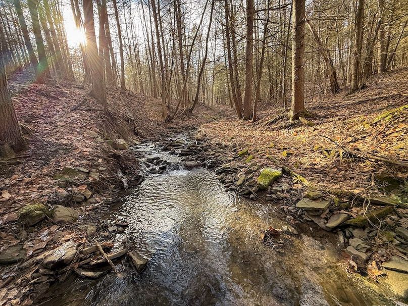 Chemung_59.65_Kocsis_photos_1