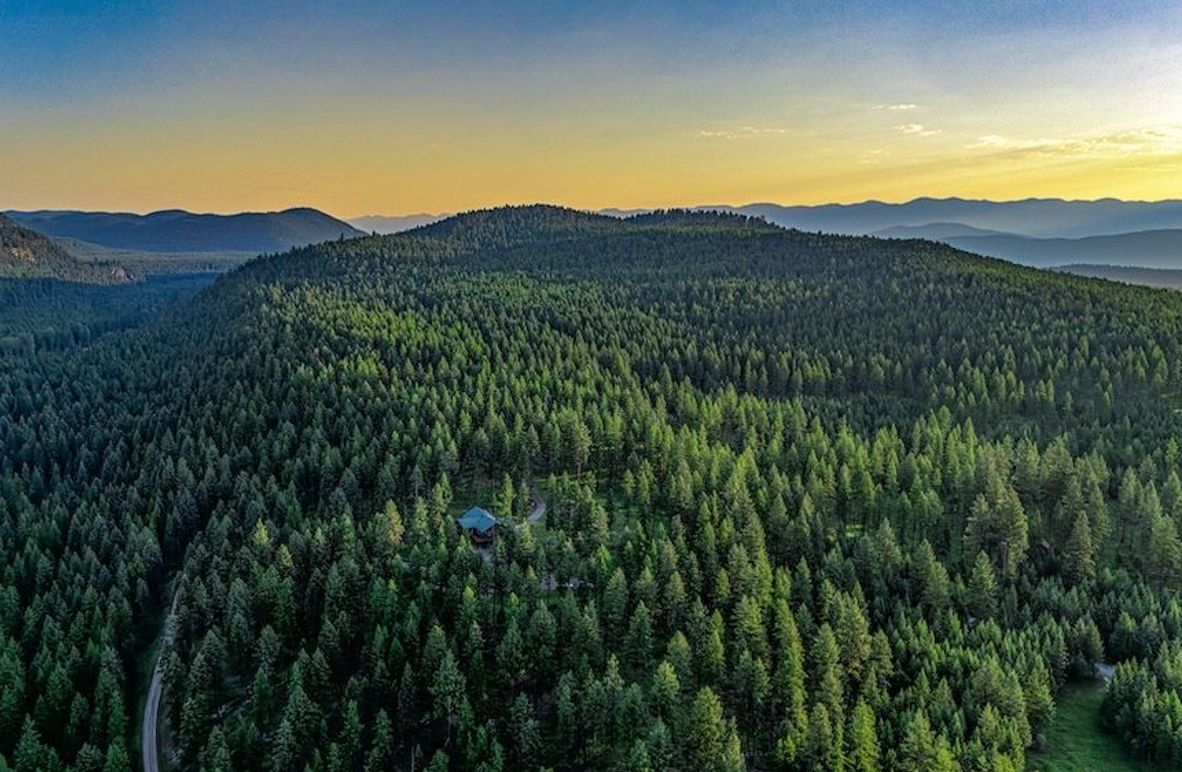 Elek Full Size -003.1