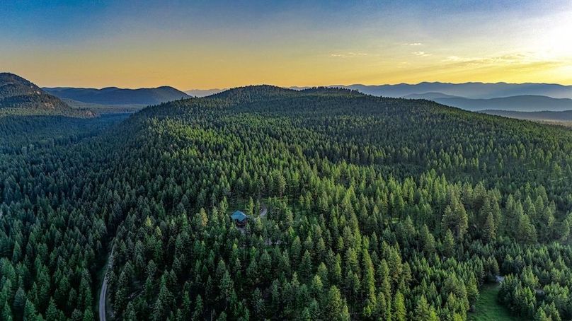 Elek Full Size -003.1