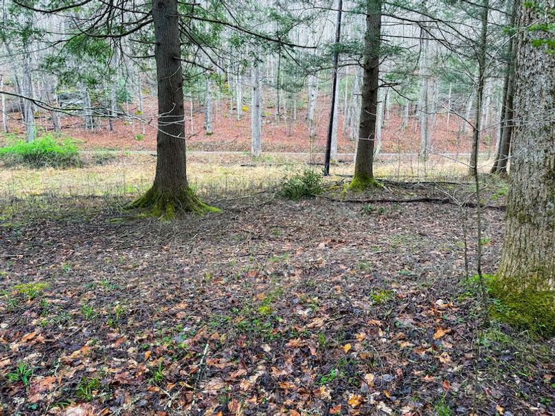 Braxton, WV 2.31 AC Winslow_Cole-08