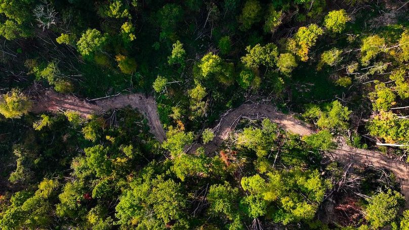 dji_fly_20250917_085336_0523_1758113879089_photo