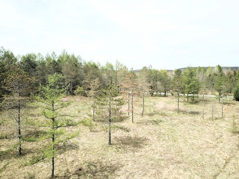 DJI_0030