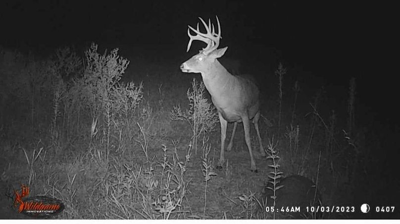 received_464126986180758