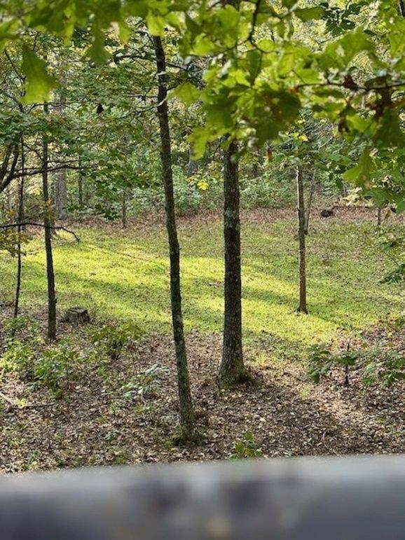 06 Wirth North 40 RidgeTop Hidey Hole