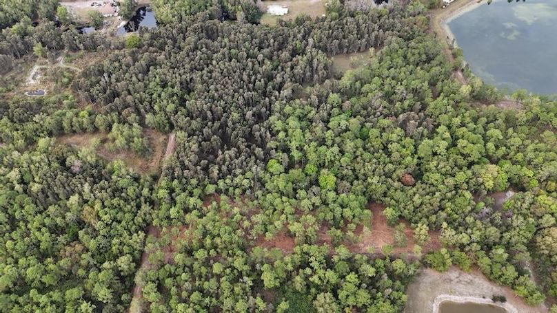 DJI_20260118094246_0175_D