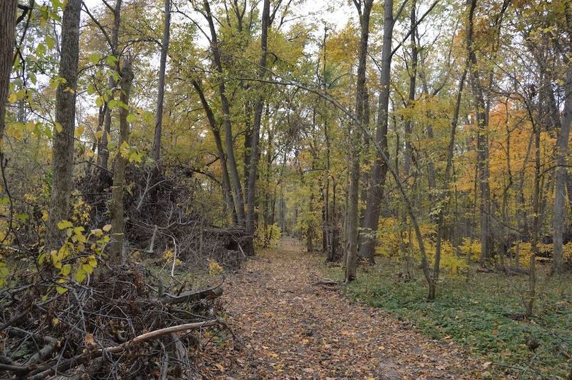 edge trail along river