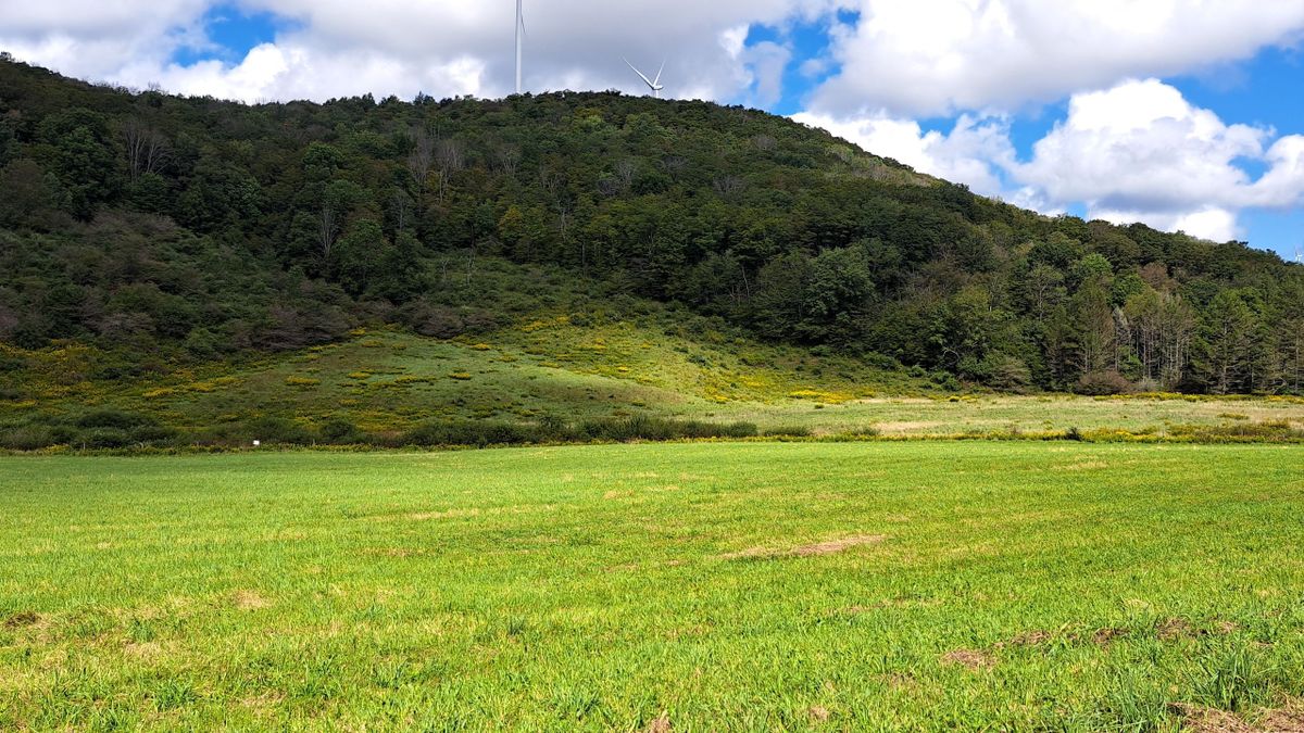 Beautiful Rural Lot In Northcentral PA | Whitetail Properties