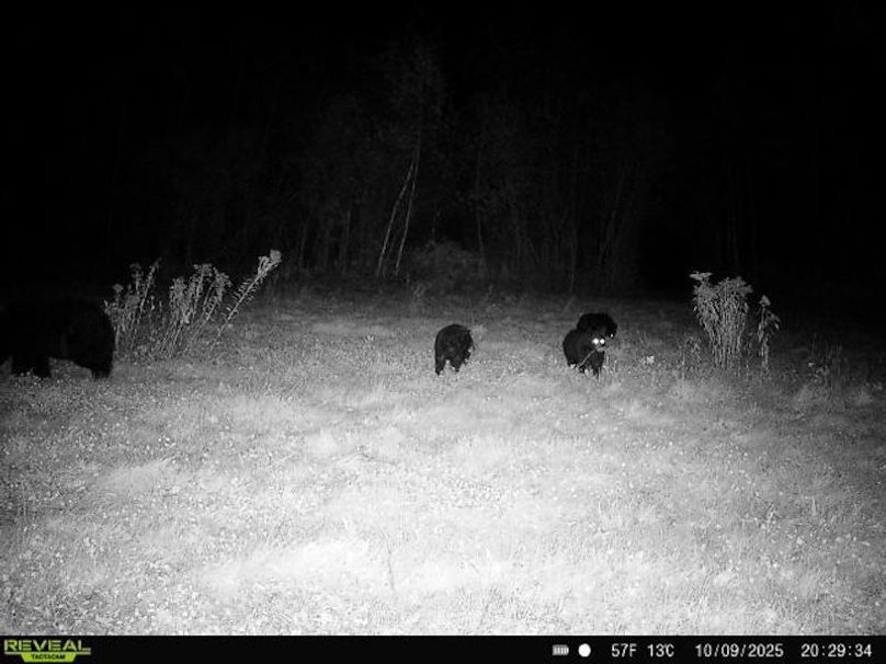 864049056287651-100-3-10092025202934-W1000274