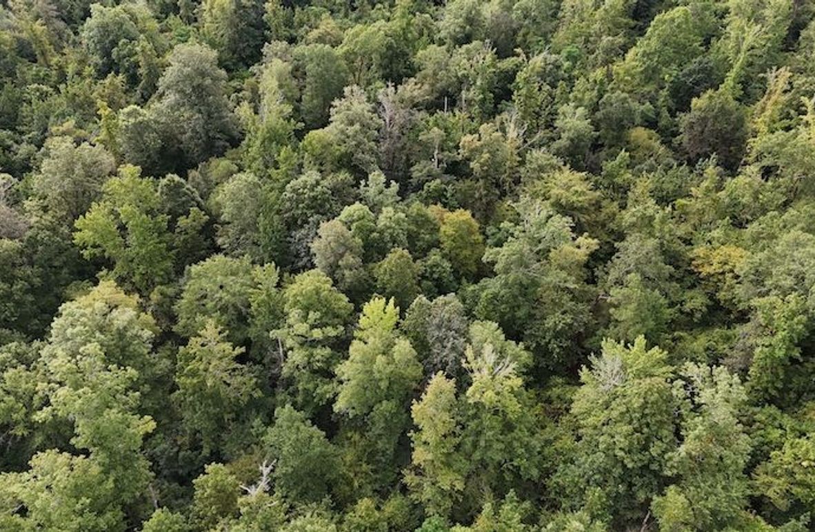 DJI_20250814092008_0062_D