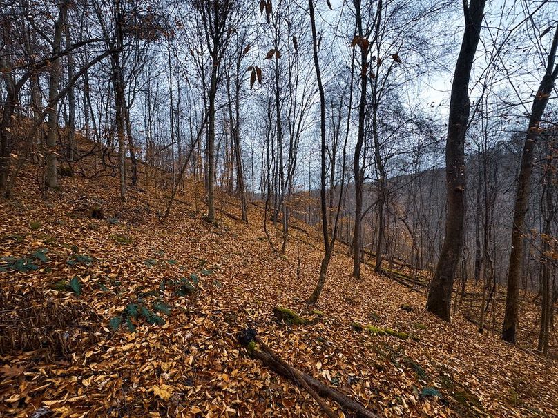 Ritchie, WV 100 AC Harper-20