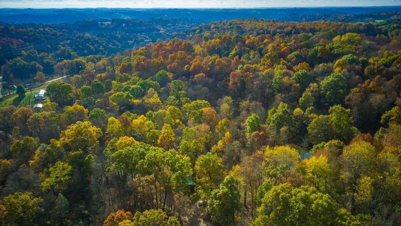 03-zj 31961 Township Rd 381003