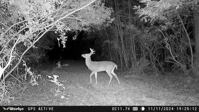 865509053774273_11112024192527-TH-E1000046