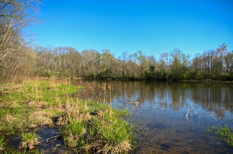 vandalia 450 (2)-2487