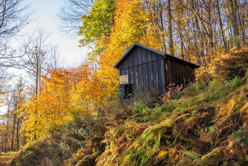 Elk PA 7000 Feature_Pro Photo-93