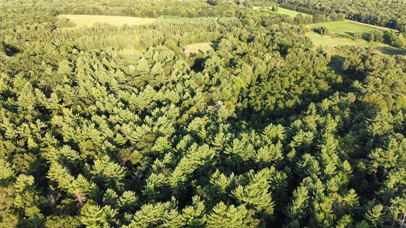 dji_fly_20240811_185718_718_1723420645361_photo_optimized