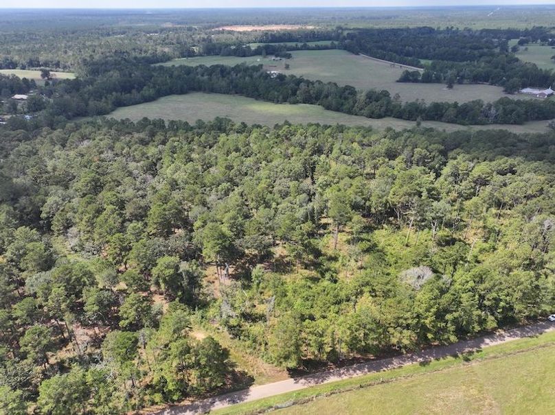 dji_fly_20250929_130802_0571_1759177334285_photo