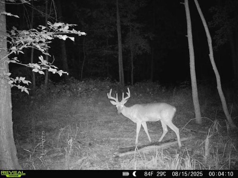 860516068101389-90-3-08152025000410-V-W1000421