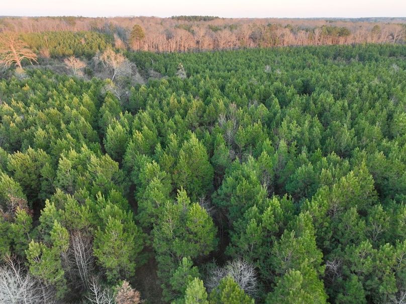 85725A9D-6090-4C51-8A7D-8E1512E33139_1_105_c