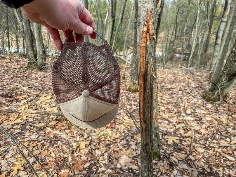 Adams 10.06 Johnson-41