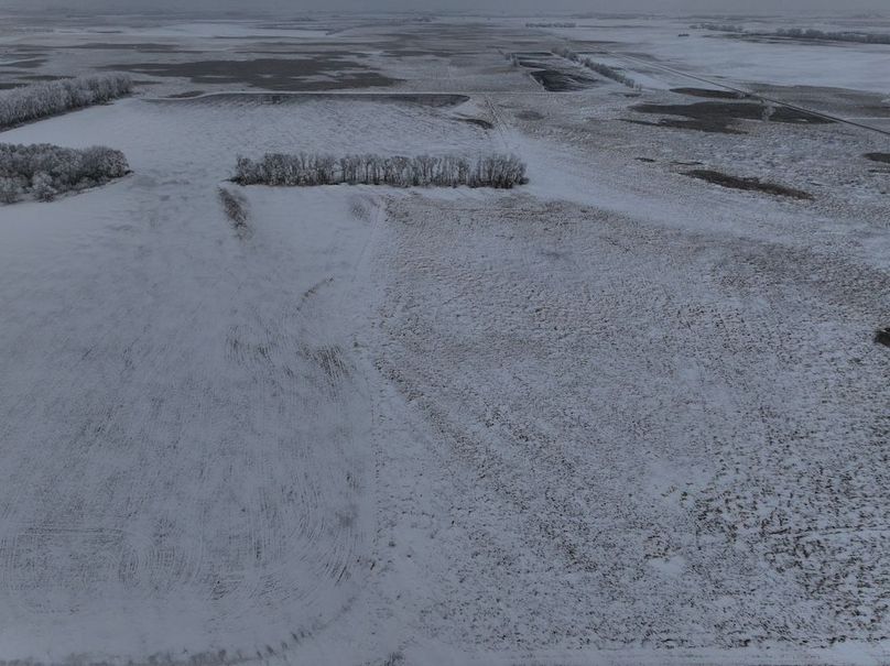 DJI_20251202155049_0993_D