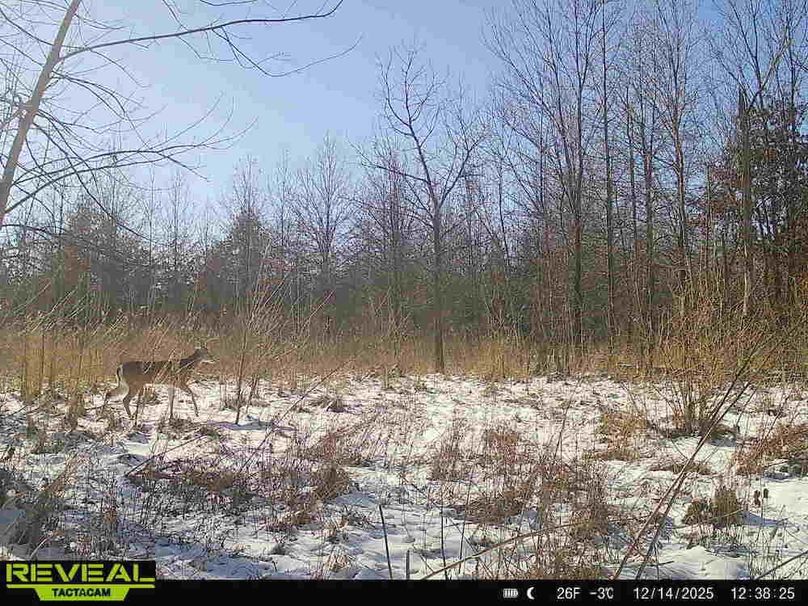 864049051945600-100-1-12142025123824-HD-W1000162