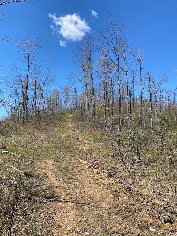 Carter Gordon 70 +_- 007