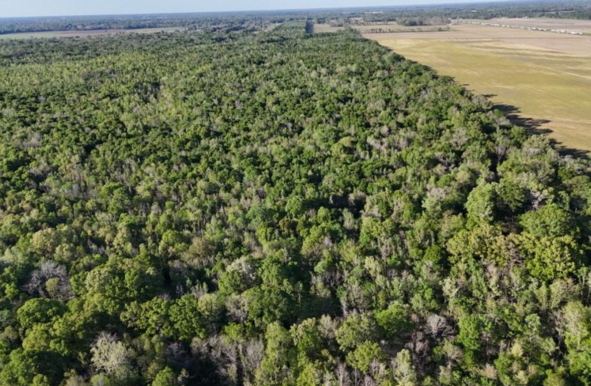 dji_fly_20260326_174312_0126_1774621496346_photo