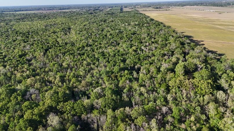 dji_fly_20260326_174312_0126_1774621496346_photo