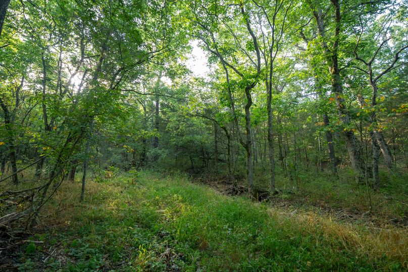 Webster MO 106 Featured_Pro Photo-69