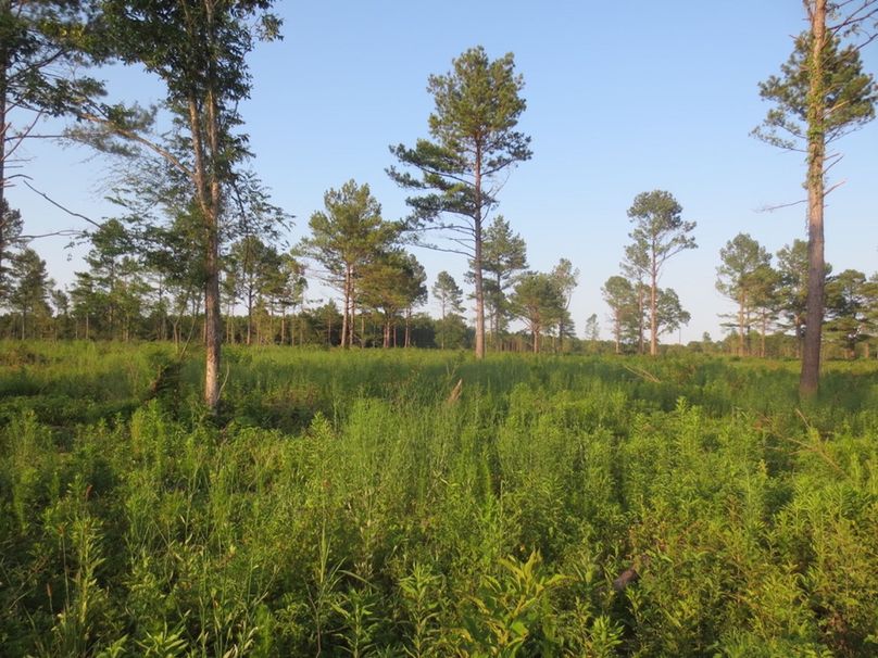 4BEE1A7C-BAC4-470F-8DDB-96FC7313F33A_1_105_c