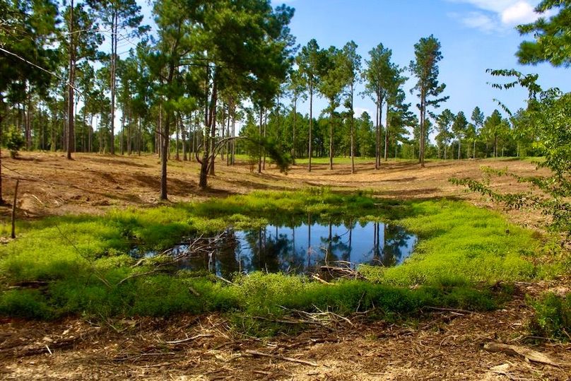 412B9AB0-BCB8-4A83-849A-FEC4896C5504_1_105_c