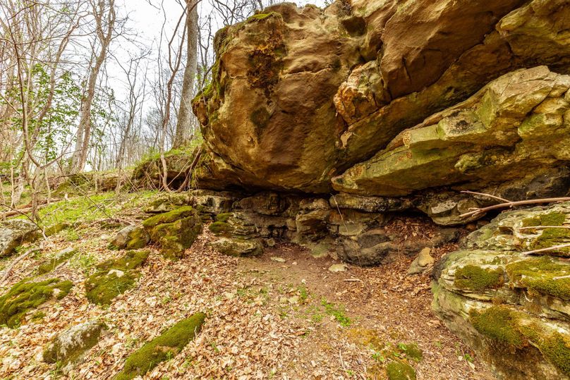 39-web-or-mls-Wolf Hill-17