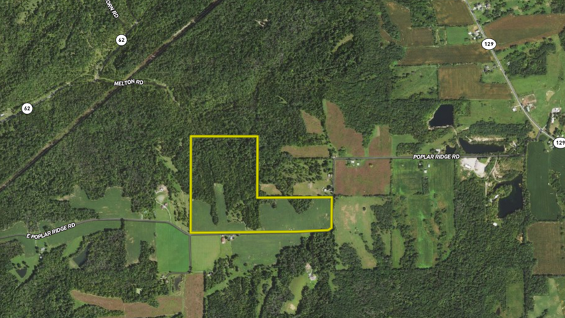 Screenshot 2024-10-23 080831