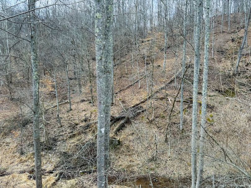 Doddridge, WV 79.08 AC Adams-73