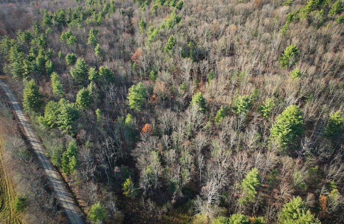 Chemung_110.6_Perry_Photos_3