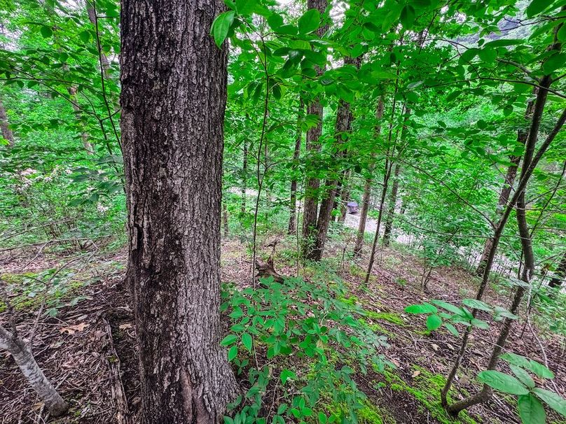 Clay, WV 14.839 AC-09