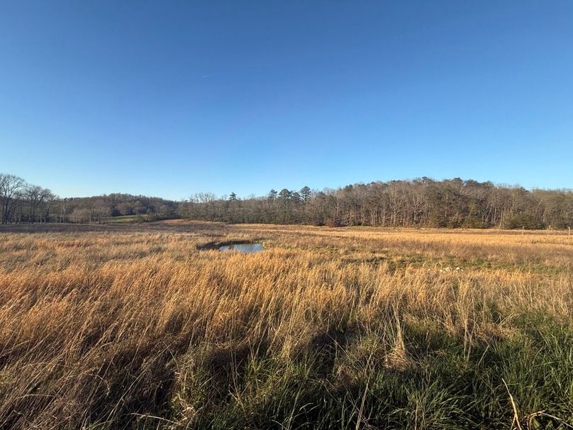 016 beautiful field area in the west part of the property