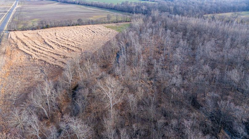 DJI_20260218080327_0015_D