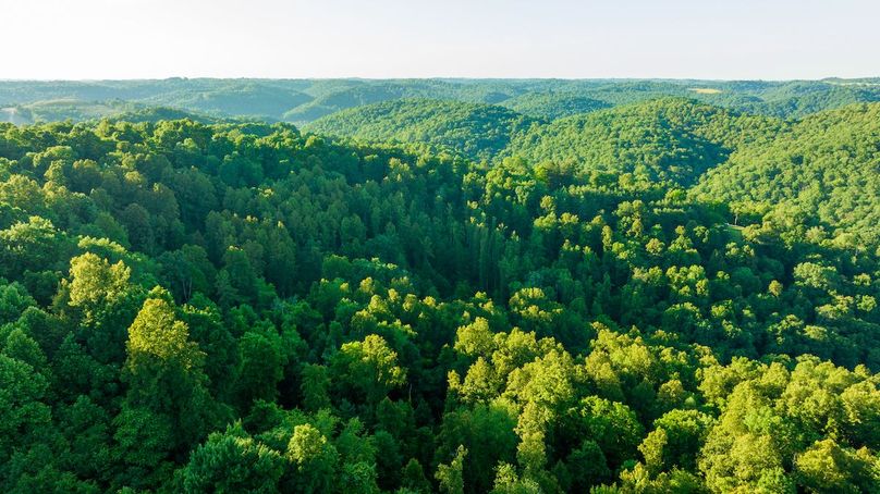 Wetzel WV 171 Featured_Pro Photo-71